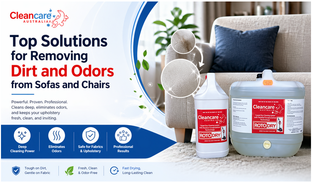 Top Solutions for Removing Dirt and Odors from Sofas and Chairs